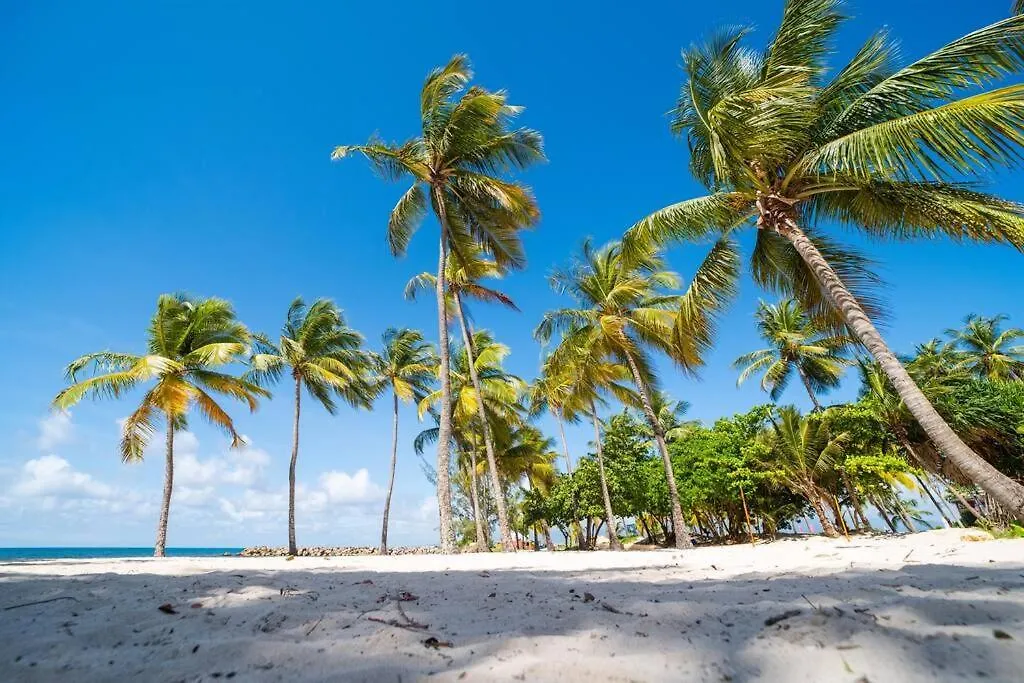 Studio Horizon Le Gosier Le Gosier  Le Gosier (Grande-Terre)