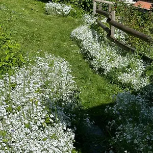 Huguette 18m2 , Courchevel France